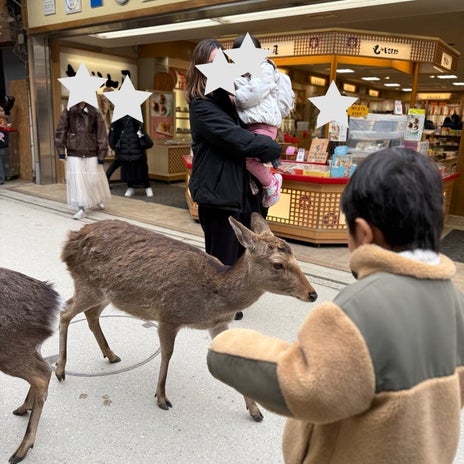 1歳もキャッキャ喜んだ宮島水族館の画像