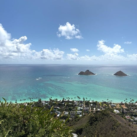 険しい道を進んだ先の素敵な景色の画像