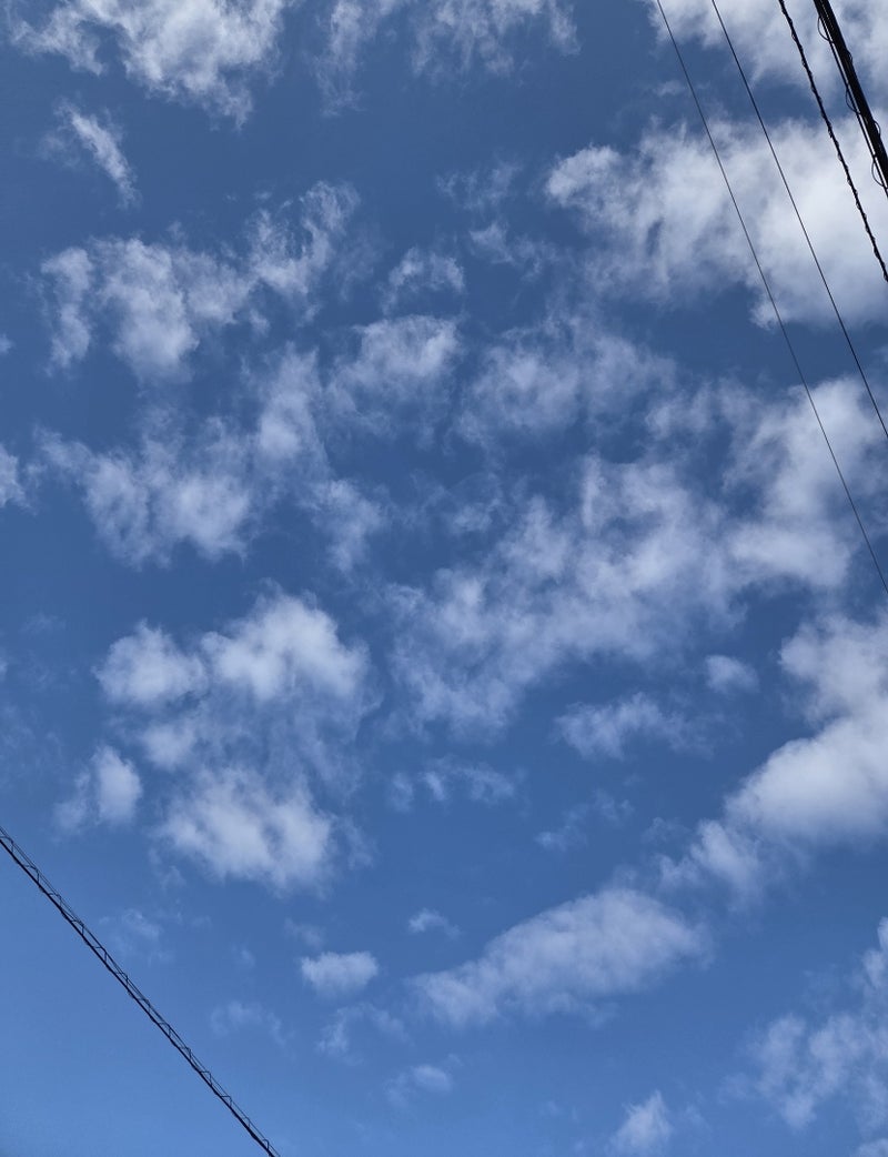 呼吸器内科で確定した手術前後の話の画像