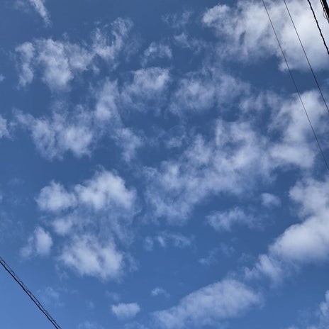 呼吸器内科で確定した手術前後の話の画像