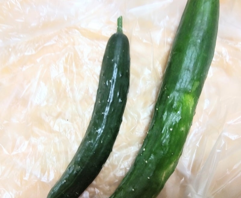 1650円でGETした12210円のお品の画像