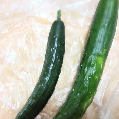 1650円でGETした12210円のお品の画像