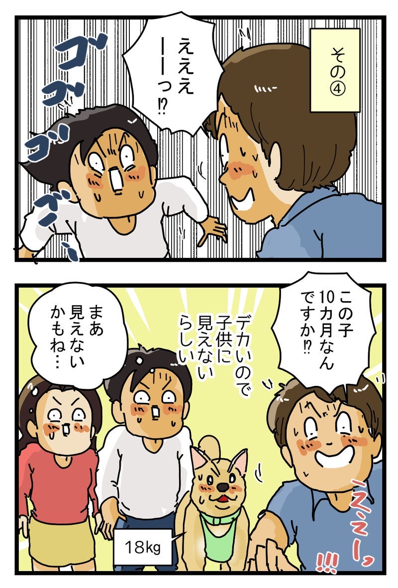 トピックス画像
