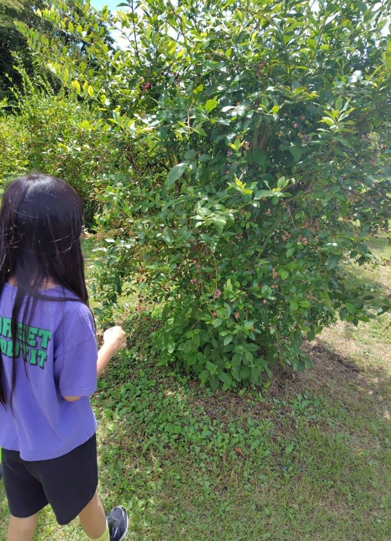 食べ過ぎた子供の面白いひと言の画像