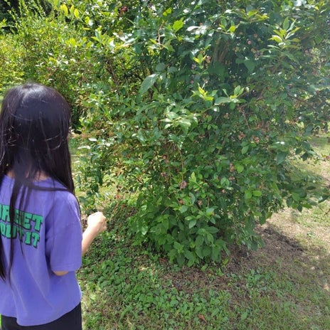 食べ過ぎた子供の面白いひと言の画像
