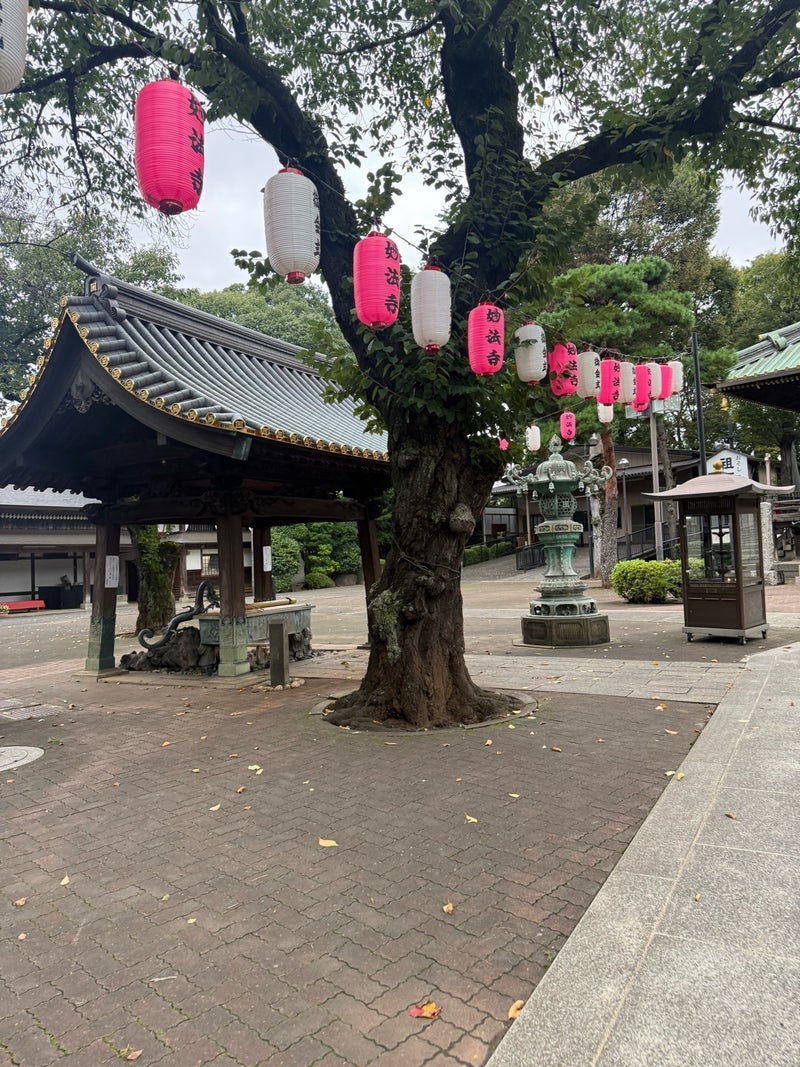 とにかく不調で必要だったお休みの画像