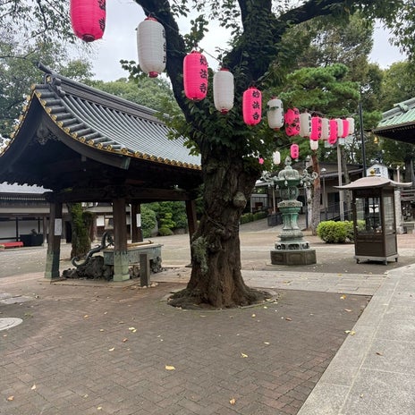 とにかく不調で必要だったお休みの画像