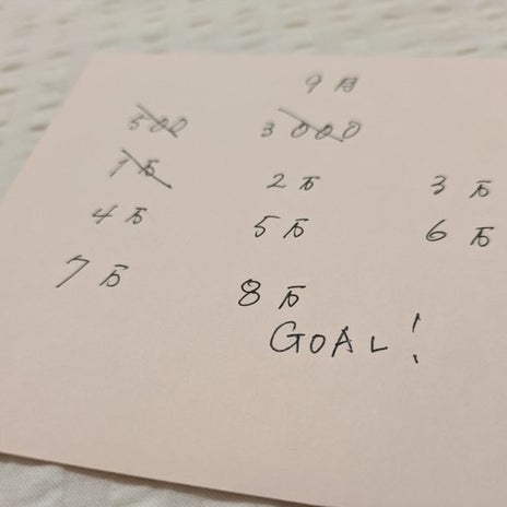 ゴールをめざしたくなる家計管理の画像