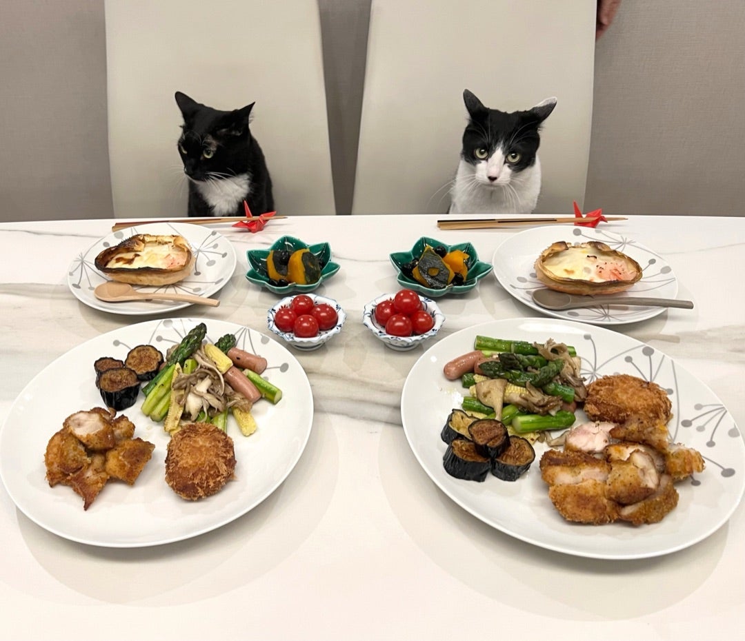 藤あや子 全部美味しかった料理