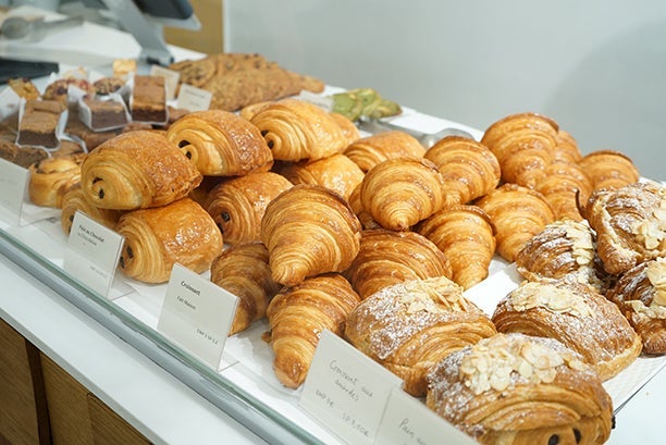 トピックス画像