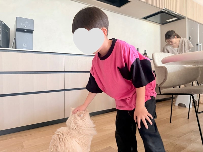 私が思うかっこいい師匠たちの画像
