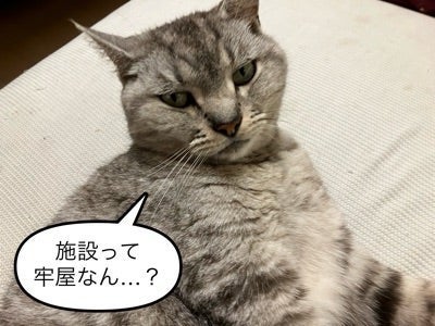 義母のたったひとつのワードに過剰反応の画像