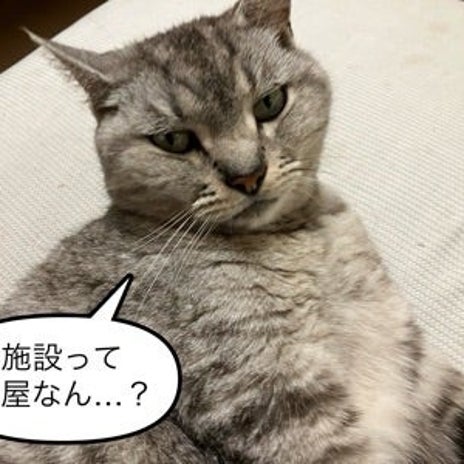 義母のたったひとつのワードに過剰反応の画像