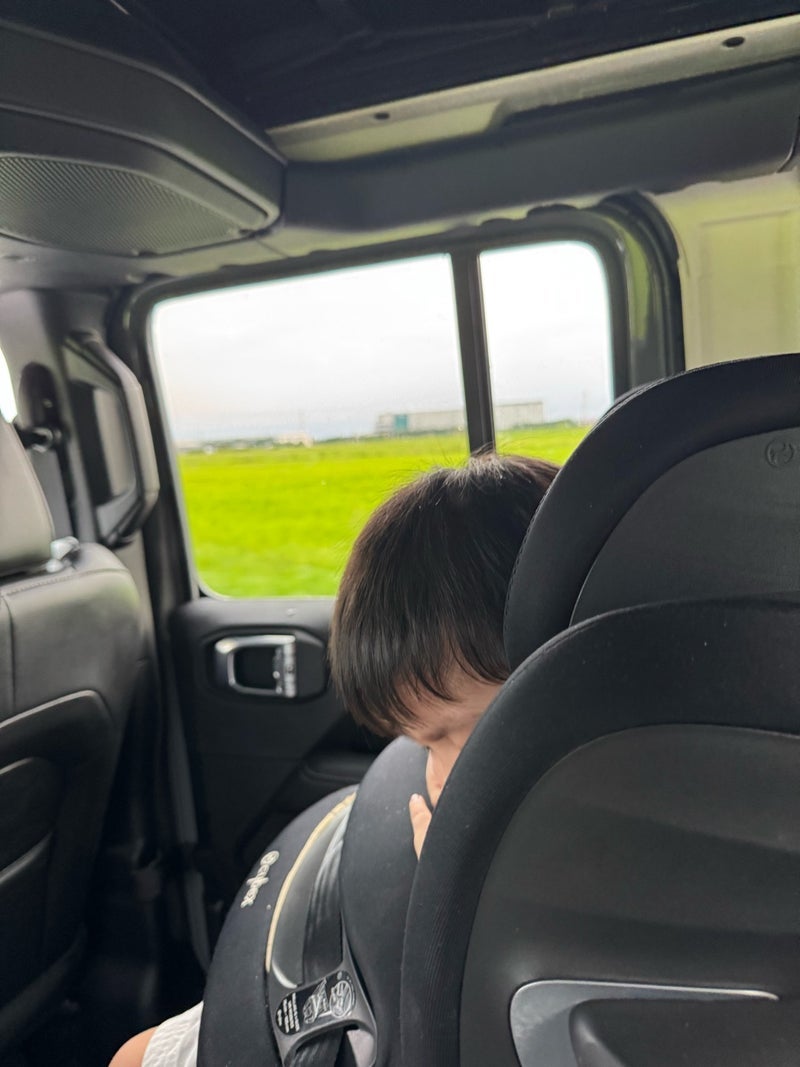 だいた あっという間の実家での事の画像
