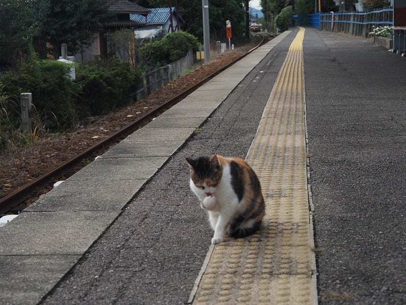 介護から逃げていた親族の言動の画像