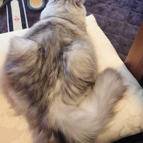 アレルギー無かった息子の鼻いびきの画像