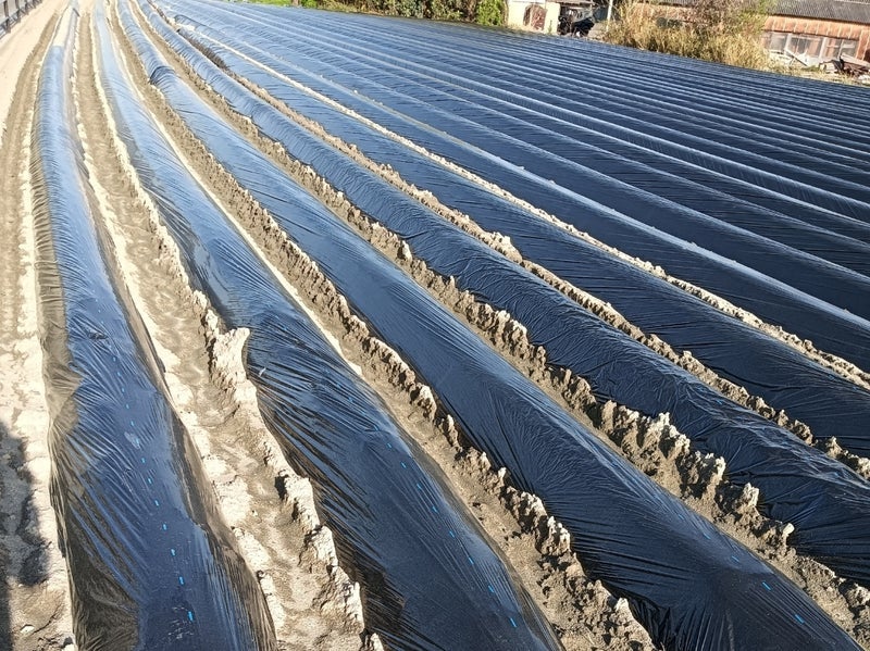 ギリギリだった息子の奨学金の手続きの画像