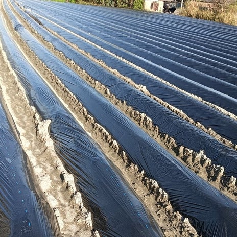 ギリギリだった息子の奨学金の手続きの画像