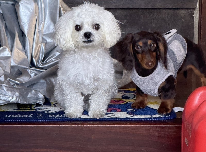 給湯器が壊れ腹が立った夫の言葉の画像