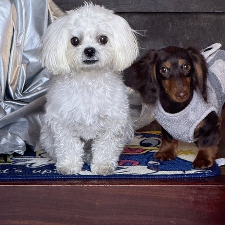 給湯器が壊れ腹が立った夫の言葉の画像