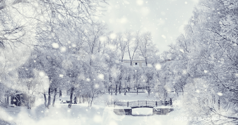 トピックス画像