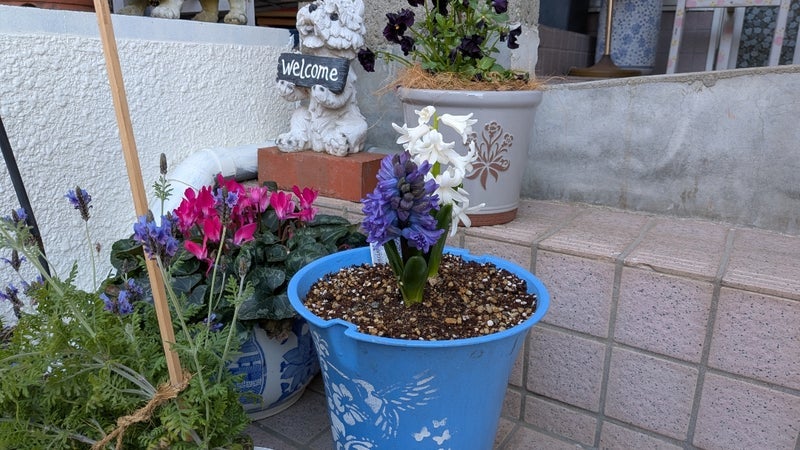 亡き母の介護を助けてくれた夫の画像