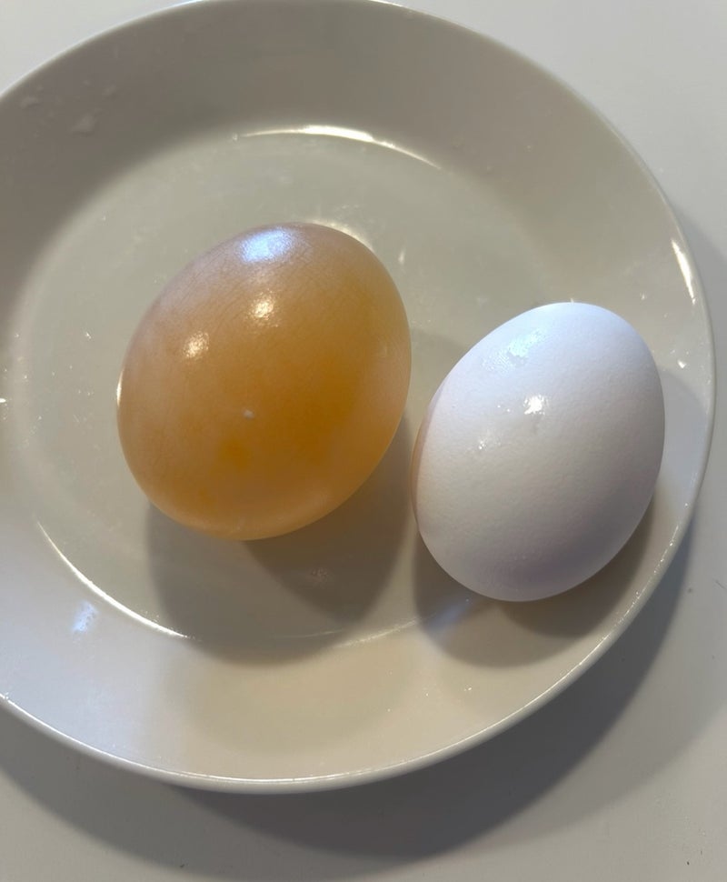 誰と会話しているのかという気分の画像