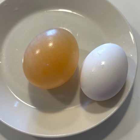 誰と会話しているのかという気分の画像