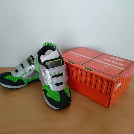 長男が大興奮した貨物仕様の箱の画像