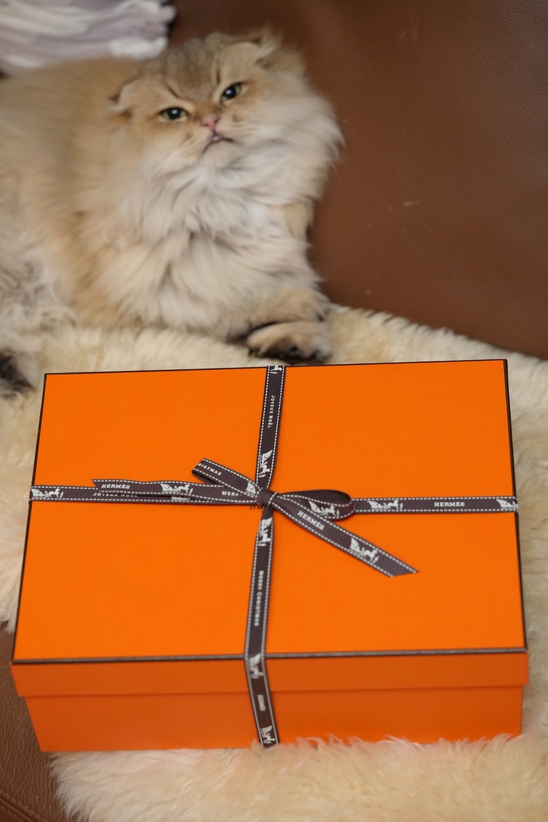 トピックス画像