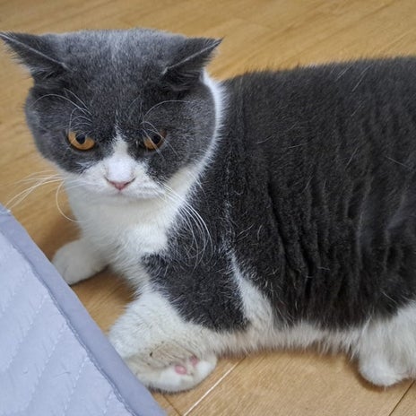 美味しかった柔らかいひれかつサンドの画像