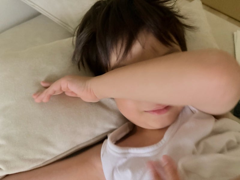 俺様が朝からシクシク泣いた理由の画像
