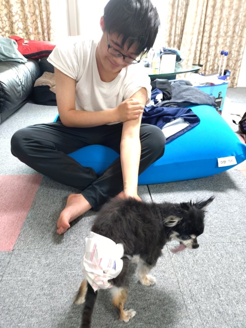 山田花子 長男が残念そうに帰宅