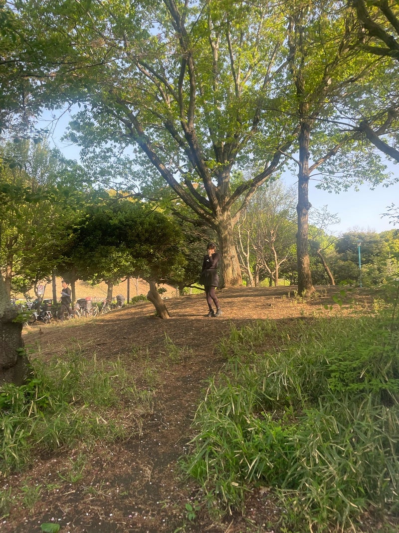 團十郎 食べたてなのに晩御飯の要求の画像