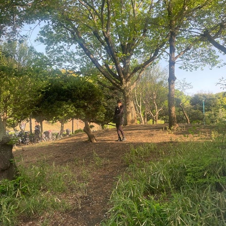 團十郎 食べたてなのに晩御飯の要求の画像
