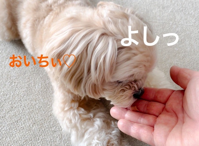 息子がおいしいと食べたコストコ品の画像