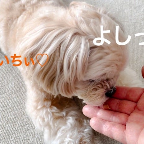 息子がおいしいと食べたコストコ品の画像