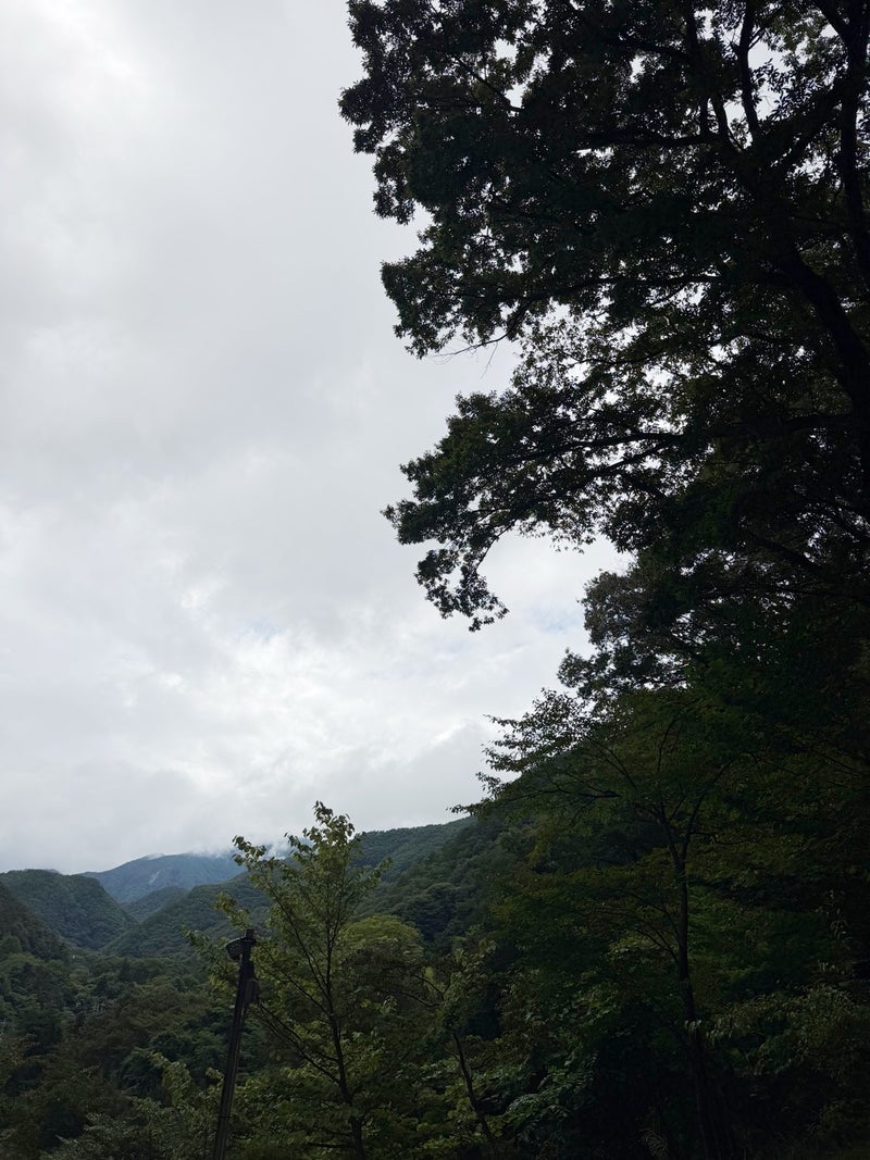 市川團十郎 車で山の奥地の温泉の画像