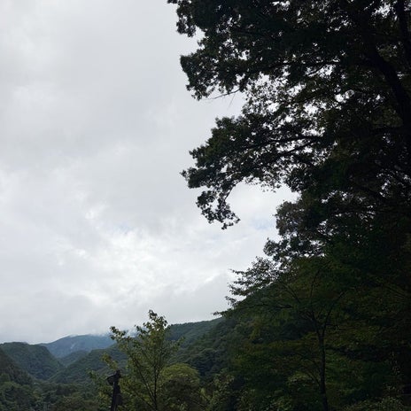 市川團十郎 車で山の奥地の温泉の画像