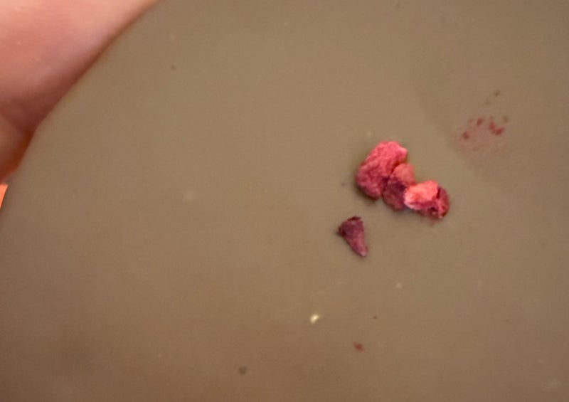 原田龍二の妻 夫のファンとのロケの画像