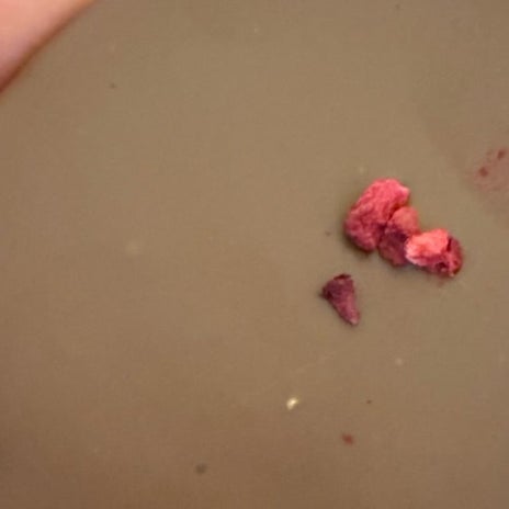 原田龍二の妻 夫のファンとのロケの画像