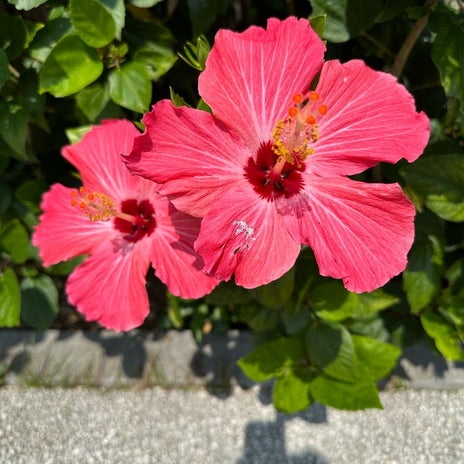 検索で監視されているような怖い気分の画像