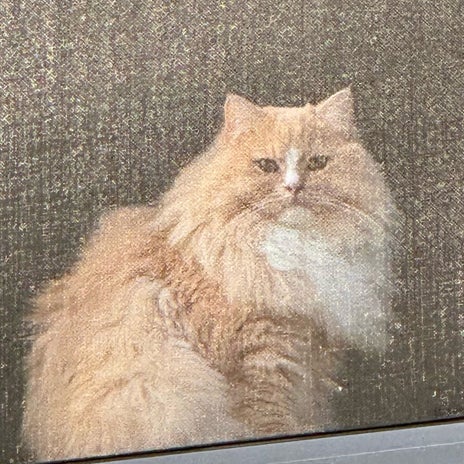 視線を感じた先にいた可愛い生き物の画像