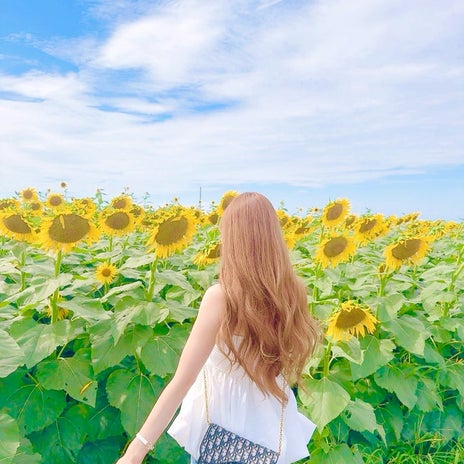自分で巻いて我ながら上出来な髪の画像