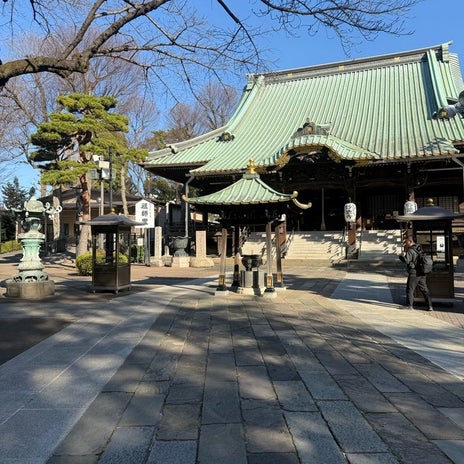 花粉で全部持ってかれた目と鼻と声の画像