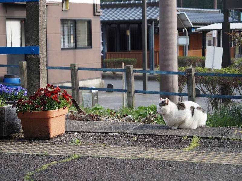 介護体制をぶっ壊そうとする親族の画像