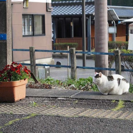 介護体制をぶっ壊そうとする親族の画像