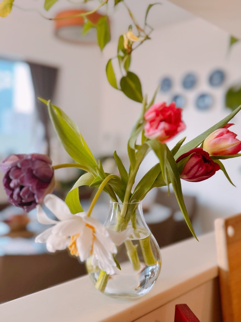 キッチンに飾った癒やしのチューリップの画像