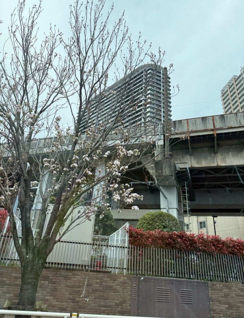 原田龍二の妻 夫と新幹線でスタバの画像