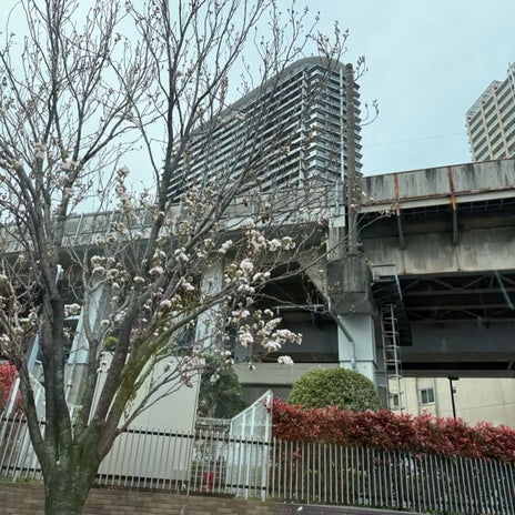 原田龍二の妻 夫と新幹線でスタバの画像